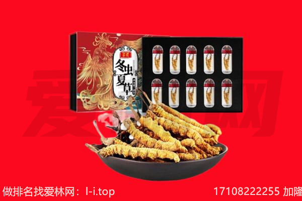 万宁回收虫草.jpg